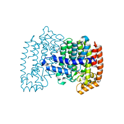 BU of 4pvx by Molmil