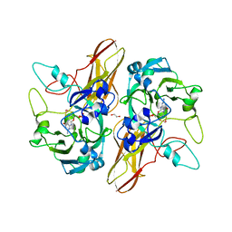 BU of 4pw3 by Molmil