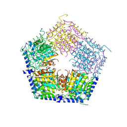AU of 4pwr by Molmil