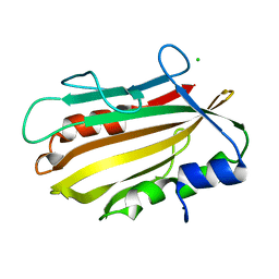 BU of 4pws by Molmil