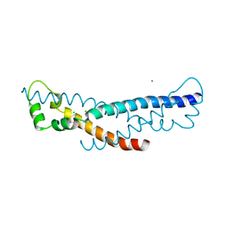 BU of 4pz1 by Molmil