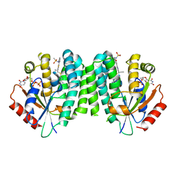 BU of 4q1b by Molmil