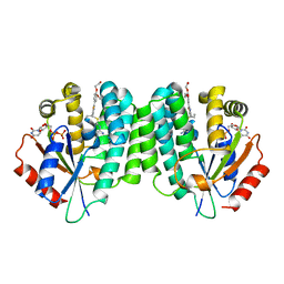 BU of 4q1c by Molmil