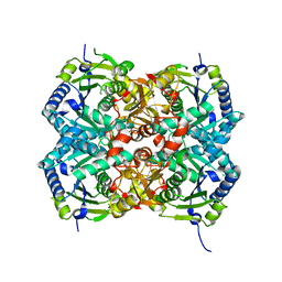 BU of 4q1t by Molmil