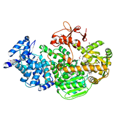 BU of 4q2c by Molmil