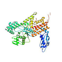 BU of 4q2x by Molmil