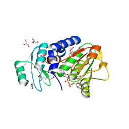 BU of 4q3a by Molmil