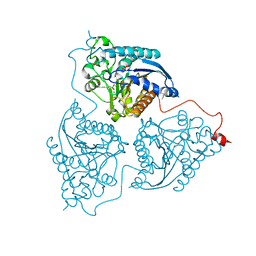 BU of 4q3v by Molmil