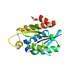 AU of 4q55 by Molmil