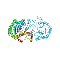 BU of 4q8v by Molmil