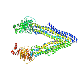 BU of 4q9i by Molmil