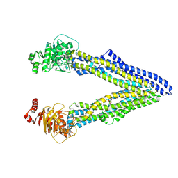 BU of 4q9j by Molmil