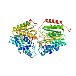 BU of 4qa0 by Molmil