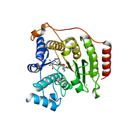 BU of 4qa1 by Molmil