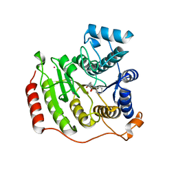 BU of 4qa2 by Molmil