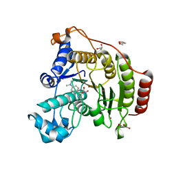 BU of 4qa4 by Molmil