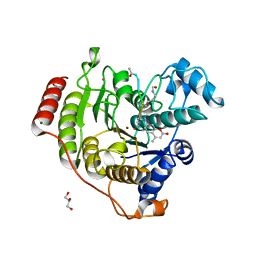 BU of 4qa5 by Molmil