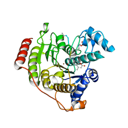 BU of 4qa6 by Molmil