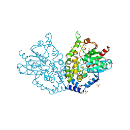 BU of 4qa9 by Molmil