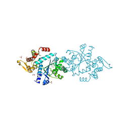 BU of 4qbt by Molmil