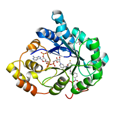 BU of 4qbx by Molmil