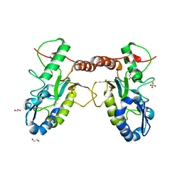 BU of 4qc9 by Molmil