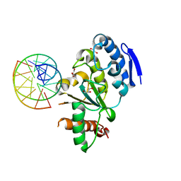 BU of 4qcb by Molmil