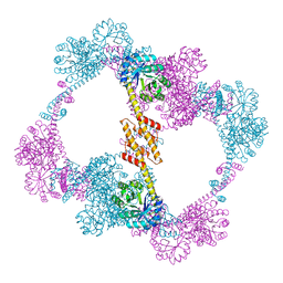 BU of 4qcc by Molmil