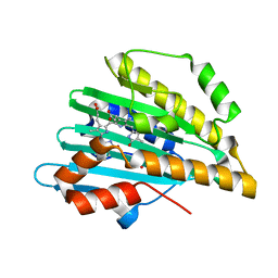 BU of 4qcd by Molmil