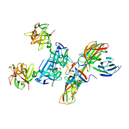 BU of 4qd2 by Molmil