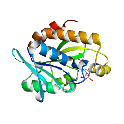 BU of 4qd3 by Molmil