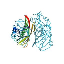 BU of 4qd8 by Molmil