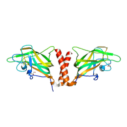 BU of 4qds by Molmil