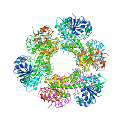 AU of 4qej by Molmil