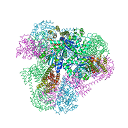 BU of 4qes by Molmil