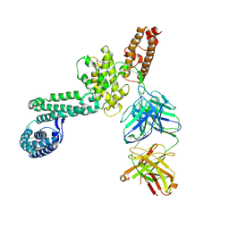 BU of 4qex by Molmil