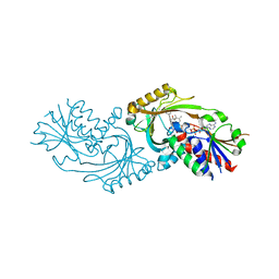 BU of 4qfd by Molmil