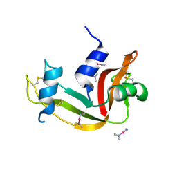 BU of 4qh3 by Molmil