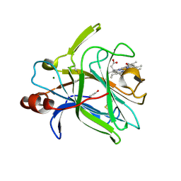 BU of 4qi3 by Molmil