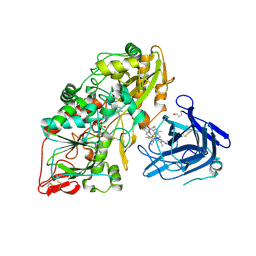 BU of 4qi6 by Molmil