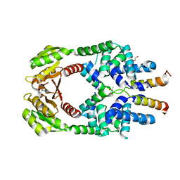 BU of 4qic by Molmil