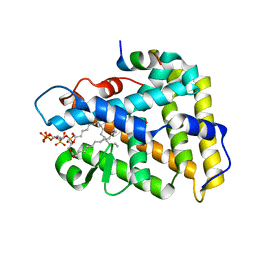 BU of 4qjr by Molmil