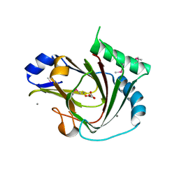 BU of 4qkb by Molmil