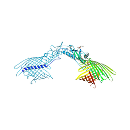 BU of 4ql0 by Molmil