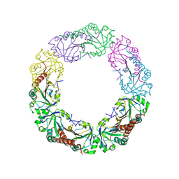 BU of 4ql9 by Molmil