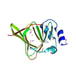 BU of 4qm8 by Molmil