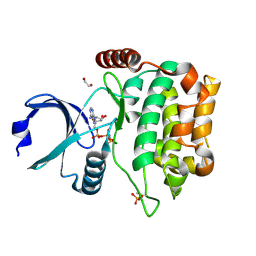 BU of 4qml by Molmil