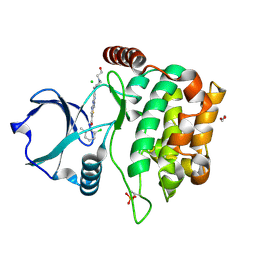 BU of 4qms by Molmil