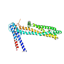 BU of 4qn1 by Molmil