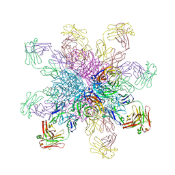 BU of 4qnp by Molmil